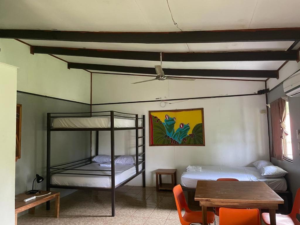 Be My Guest Cabinas Puerto Viejo de Talamanca Экстерьер фото